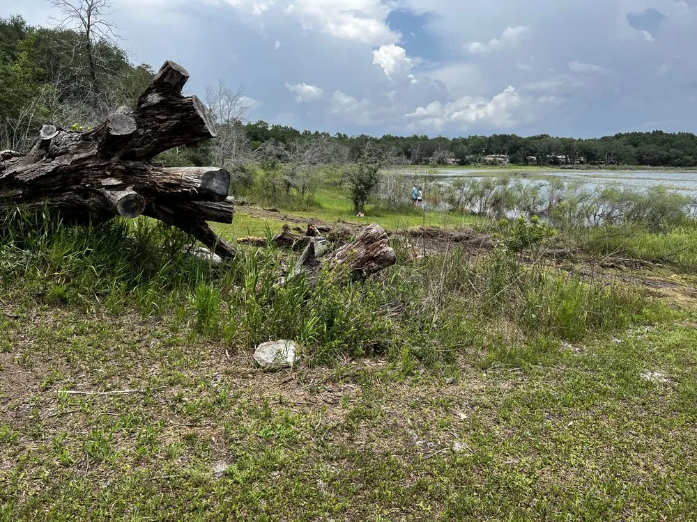 Reliable garden landscaping for residential properties in Panama City, FL by Surface Correction Services