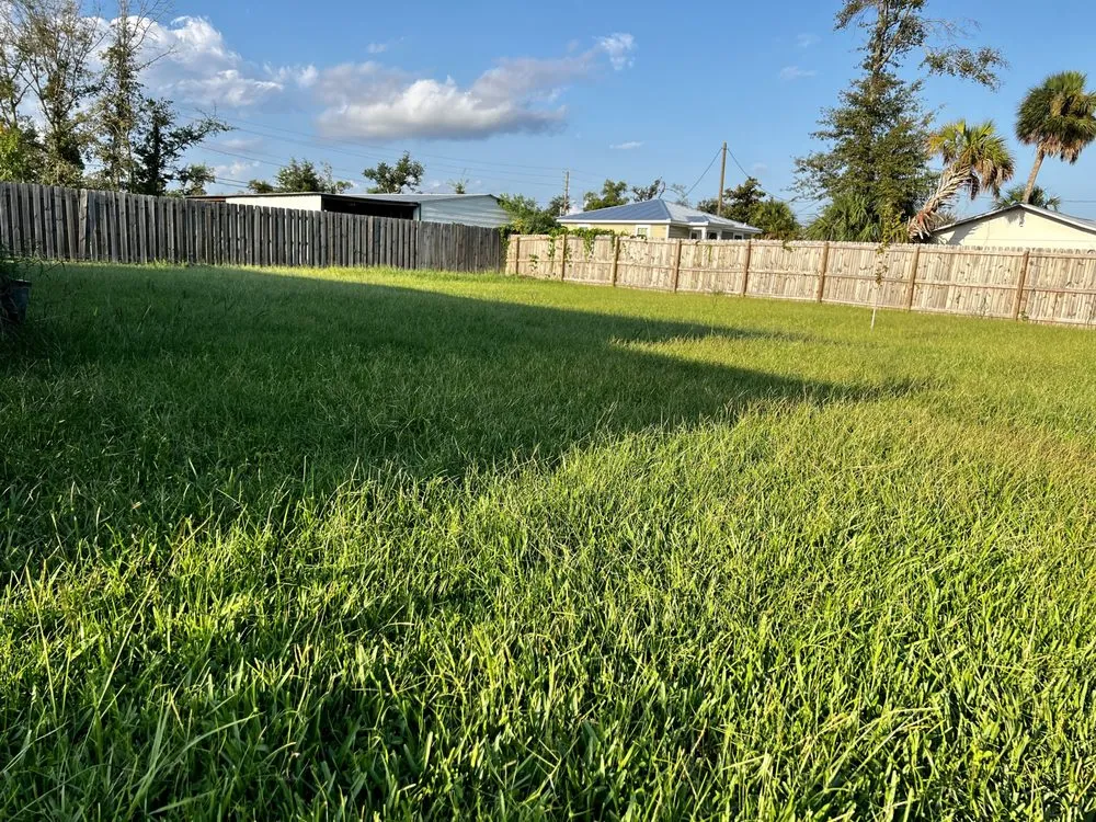 Trusted landscaping services for outdoor upgrades across Panama City, FL - Surface Correction Services