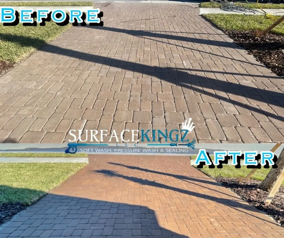 Expert outdoor landscaping in Port Charlotte, FL - Surface Kingz