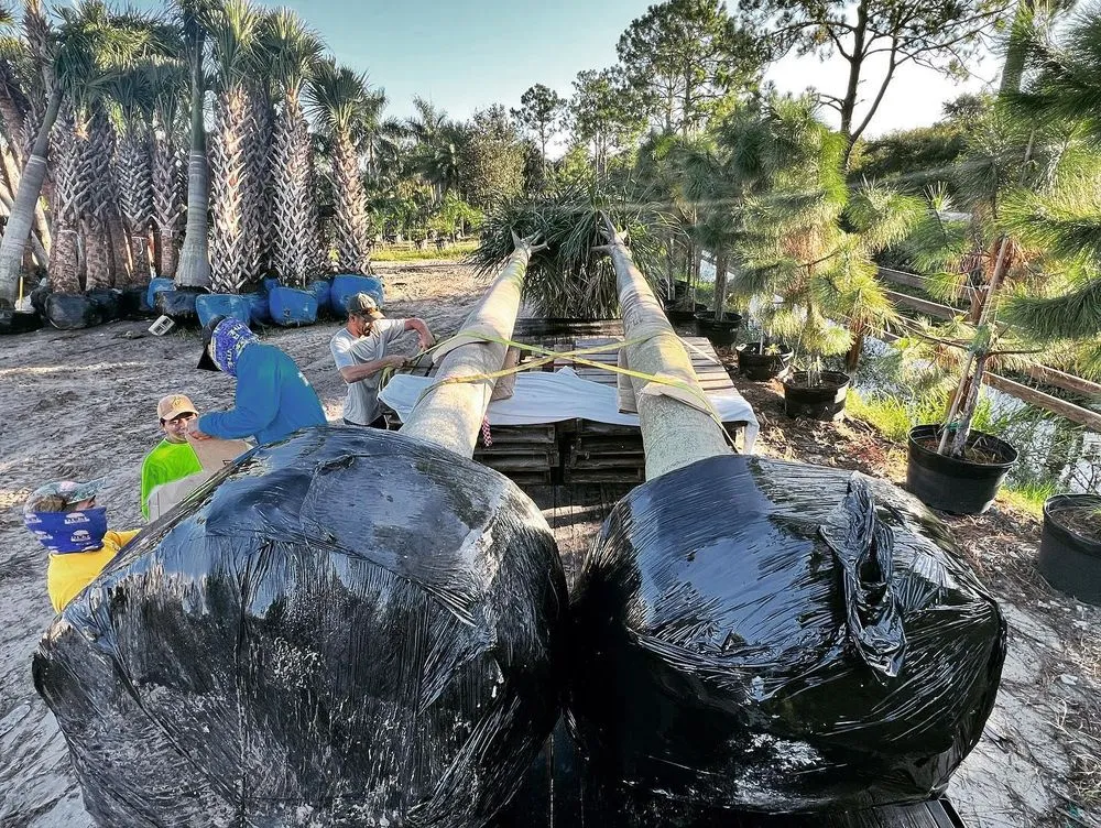 Expert residential landscaping in Cape Coral, FL by Surface Pro Concrete Solutions