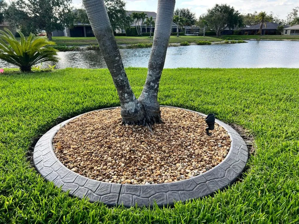 Top-rated yard cleanup service in Cape Coral, FL by Surface Pro Concrete Solutions