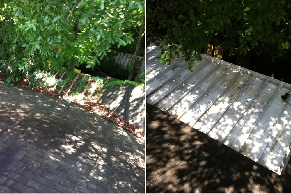 Professional landscape installation for year-round maintenance in Orlando, FL by Surface Tech Pressure Washing