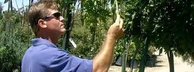 Trusted outdoor landscaping in San Marcos, CA by Surfside Landscape & Construction