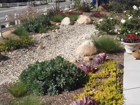 Custom yard cleanup service for year-round maintenance across San Marcos, CA - Surfside Landscape & Construction