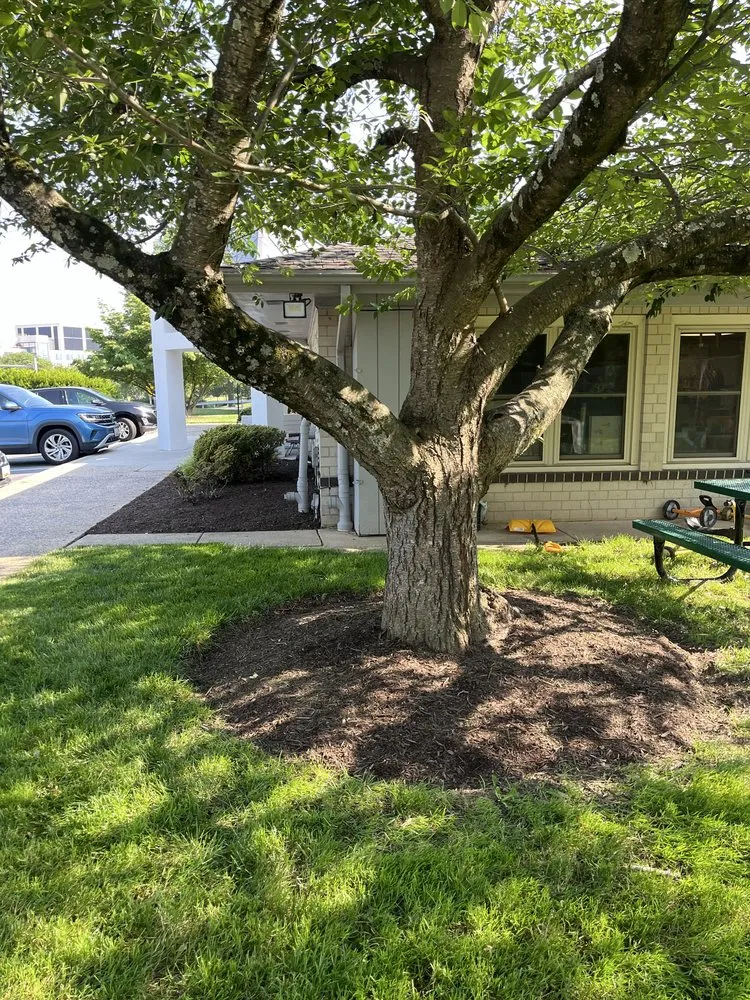 Top-rated lawn mowing service for residential properties in Fairfax, VA by Surgescaping