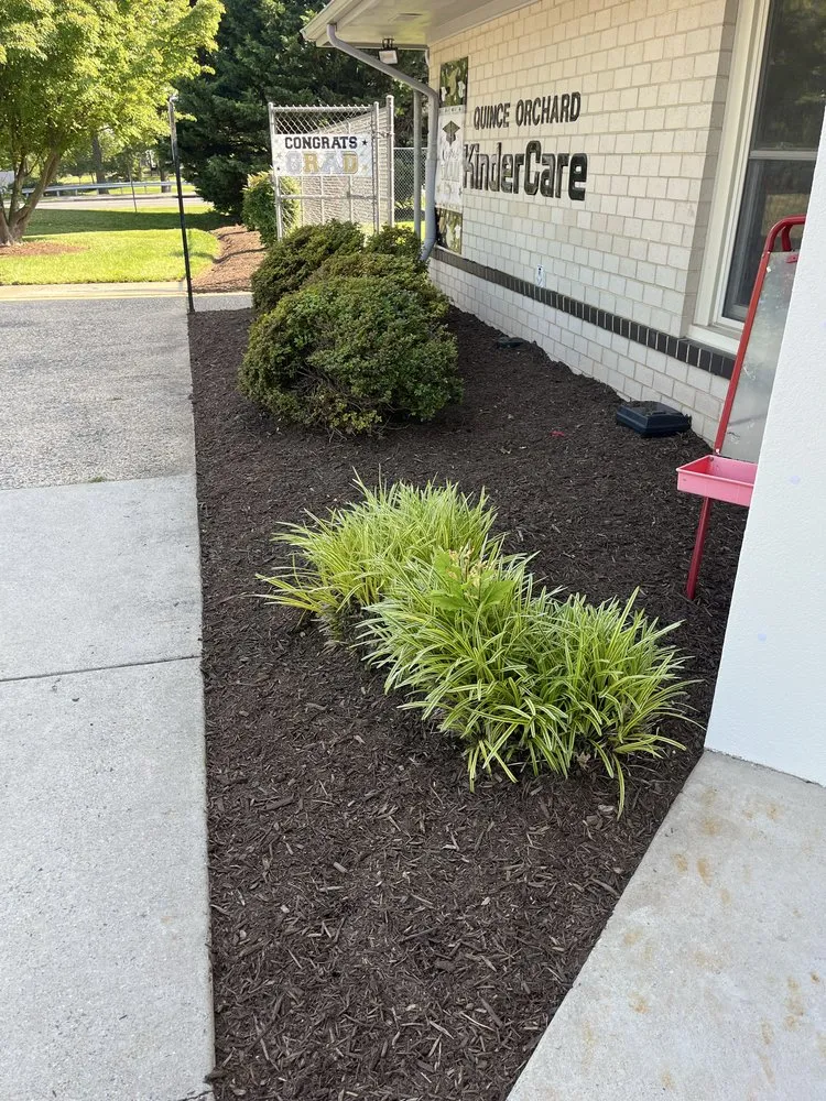 Local garden landscaping experts serving Fairfax, VA - Surgescaping