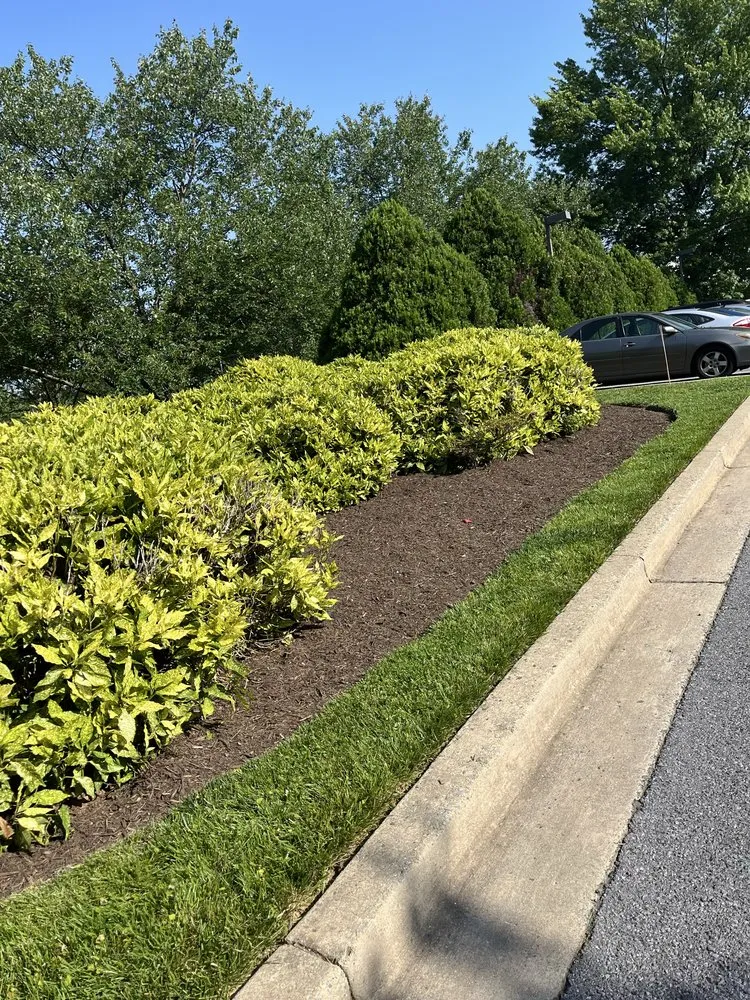 Top-rated residential landscaping in Fairfax, VA - Surgescaping