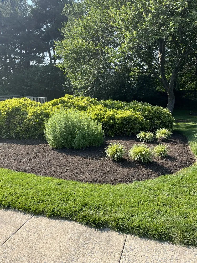 Trusted landscape installation experts serving Fairfax, VA - Surgescaping