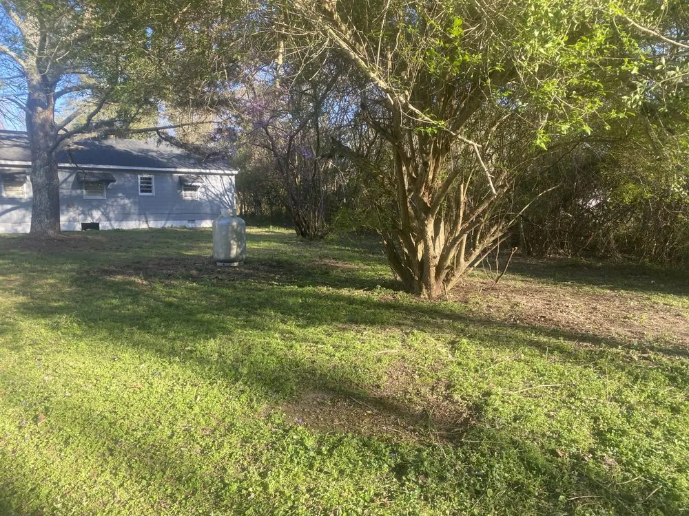 Professional yard cleanup service in Rich Square, NC - Surgical Detailing