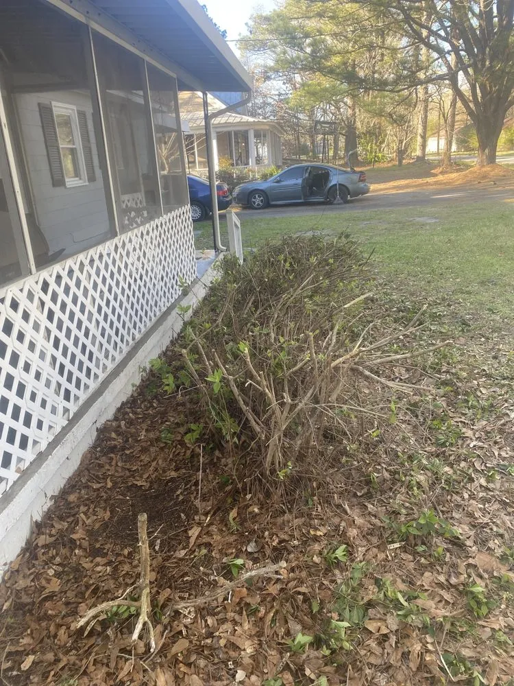 Professional landscape design experts serving Rich Square, NC - Surgical Detailing