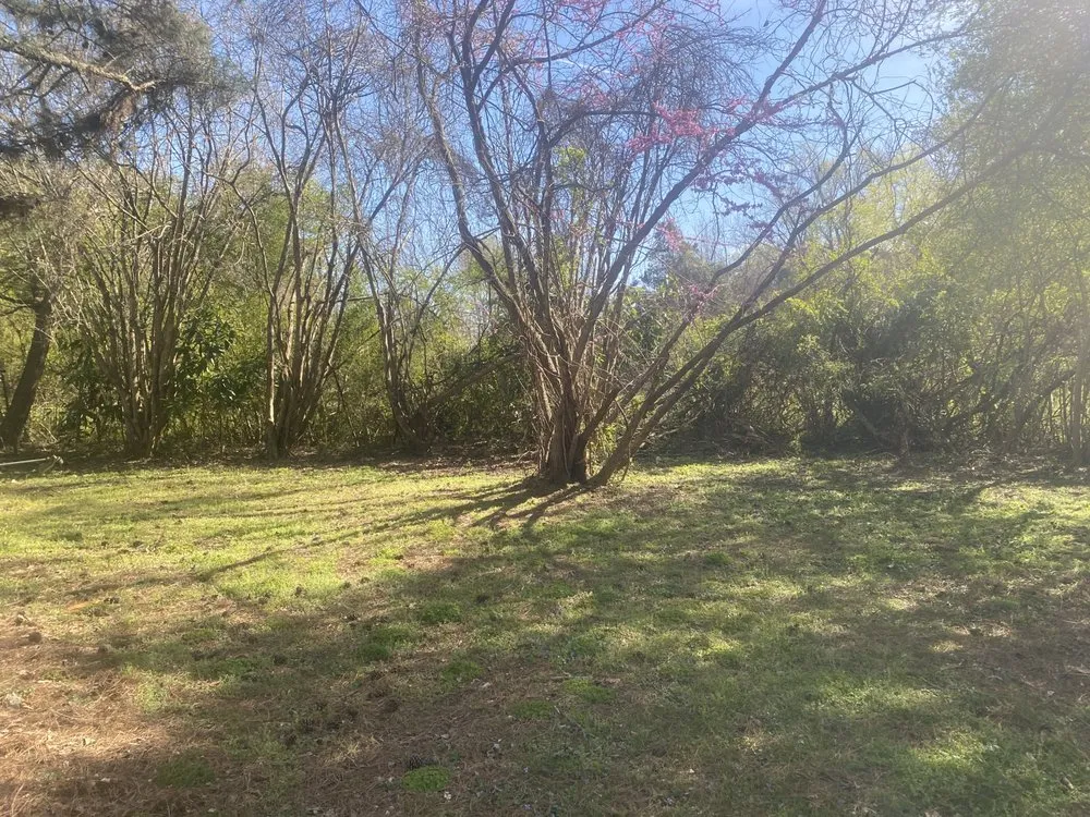 Local garden landscaping for residential properties in Rich Square, NC by Surgical Detailing