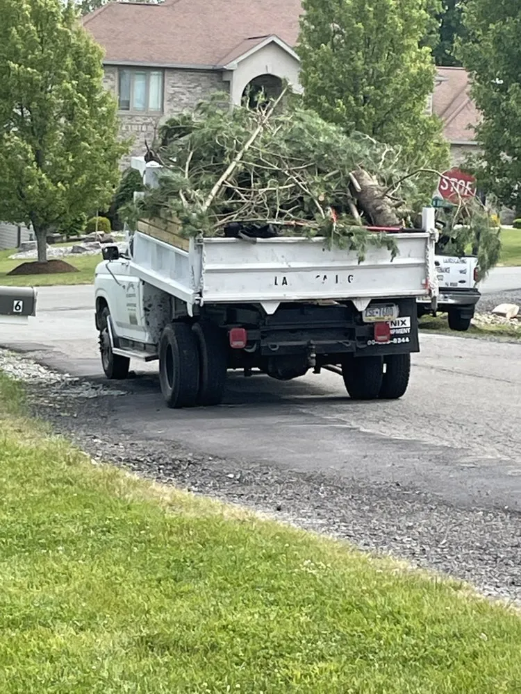 Professional landscaping services in Elmhurst Township, PA by Surianos Landscaping & Exterior Design