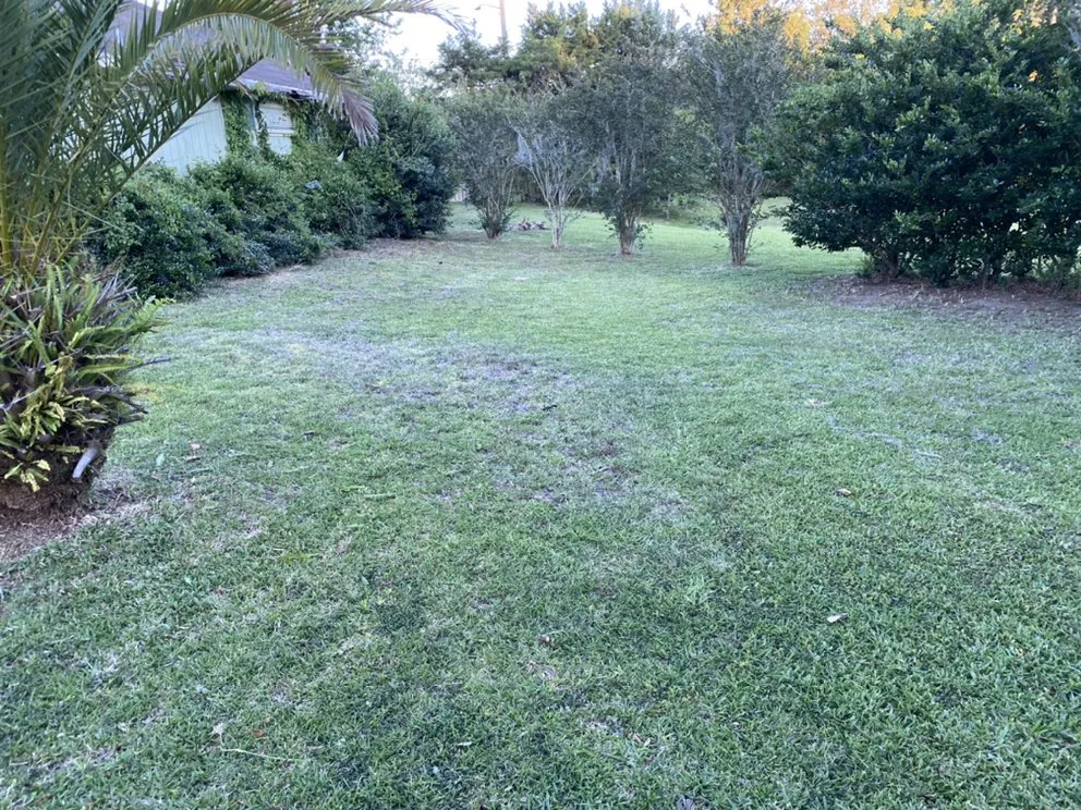 Trusted residential landscaping for year-round maintenance across Gainesville, FL - Surmount Cleaning & Tree Service