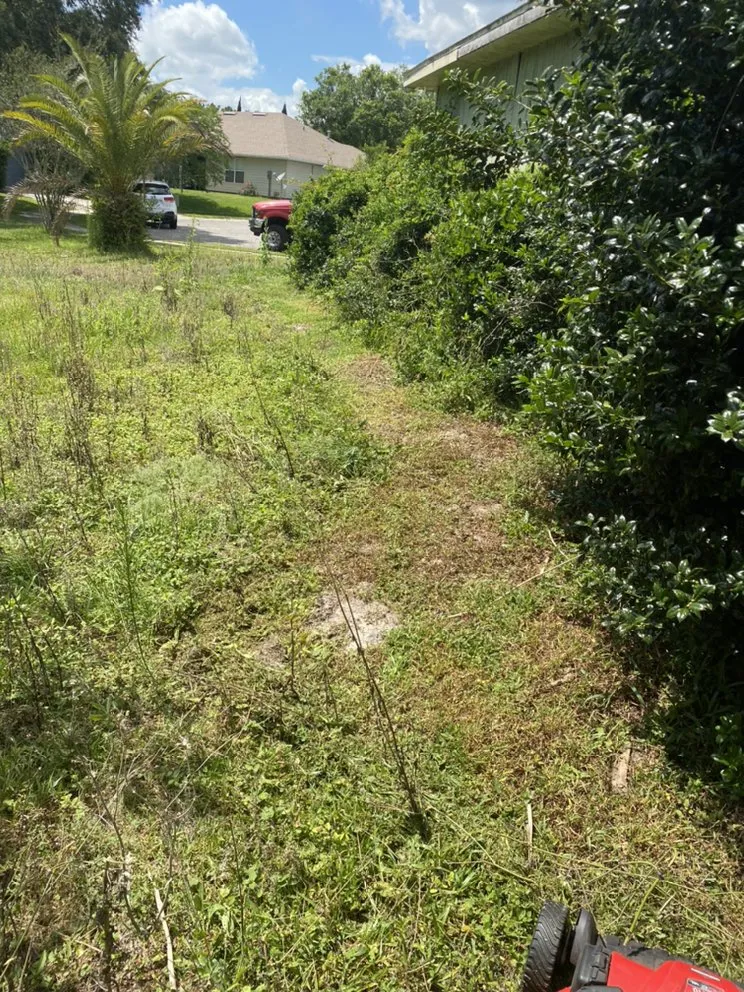 Custom lawn care service in Gainesville, FL by Surmount Cleaning & Tree Service