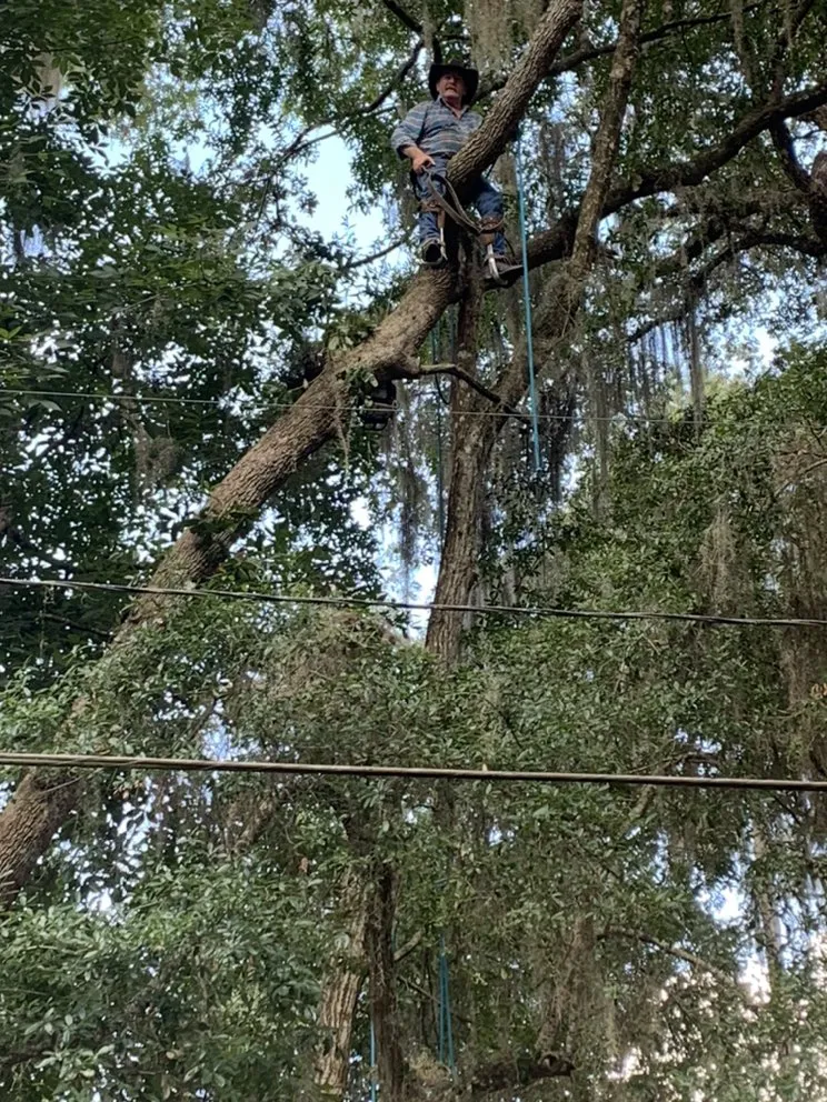 Custom landscaping services with custom design across Gainesville, FL - Surmount Cleaning & Tree Service