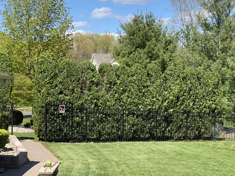 Custom yard maintenance in Wethersfield, CT - Surmount Contractors