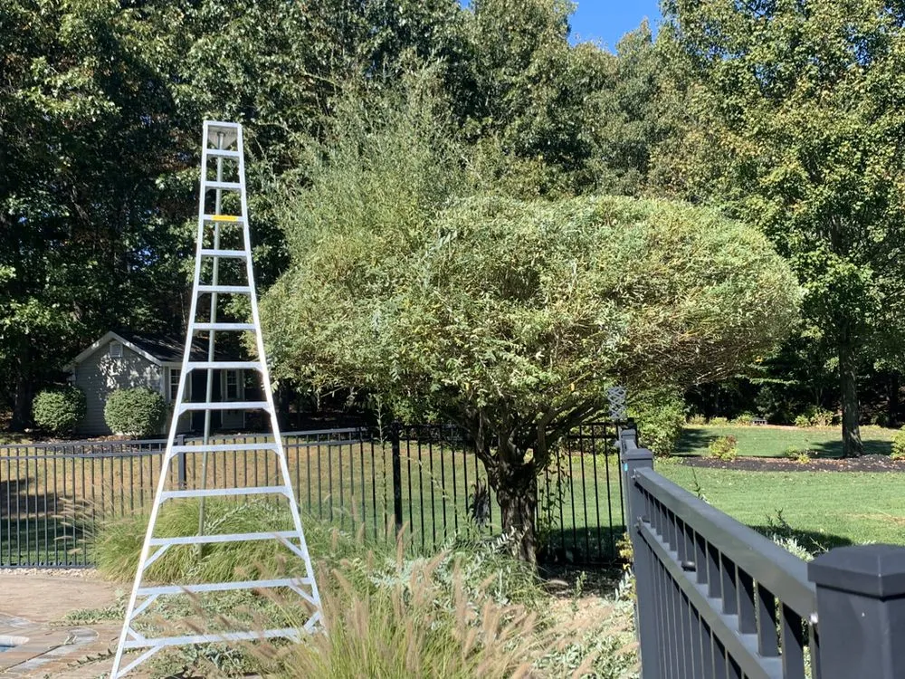 Reliable yard cleanup service near you across Wethersfield, CT - Surmount Contractors