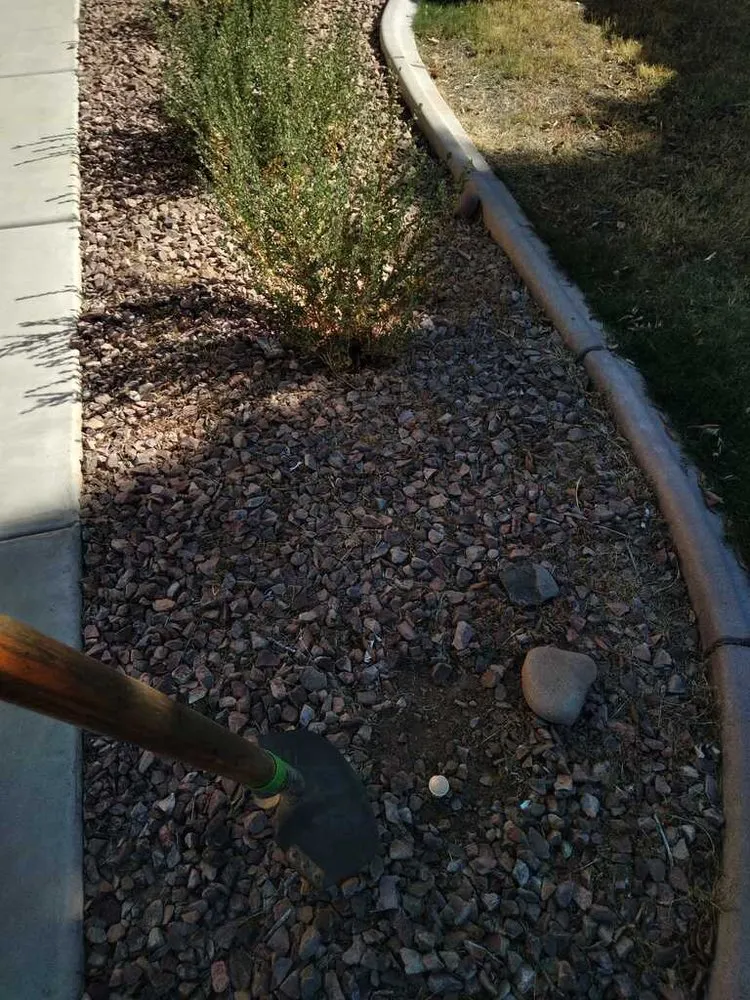 Trusted garden landscaping for outdoor upgrades across Surprise, AZ - Surprise Landscaping