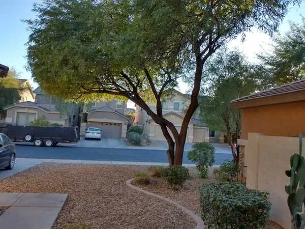 Local landscaping services experts serving Surprise, AZ - Surprise Landscaping