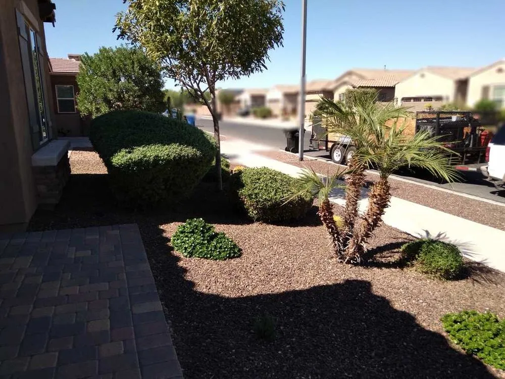 Affordable landscape design in Surprise, AZ - Surprise Landscaping