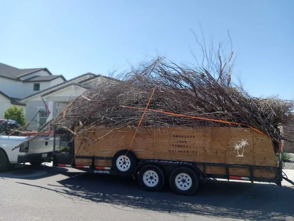 Expert lawn mowing service for beautiful yards across Surprise, AZ - Surprise Landscaping