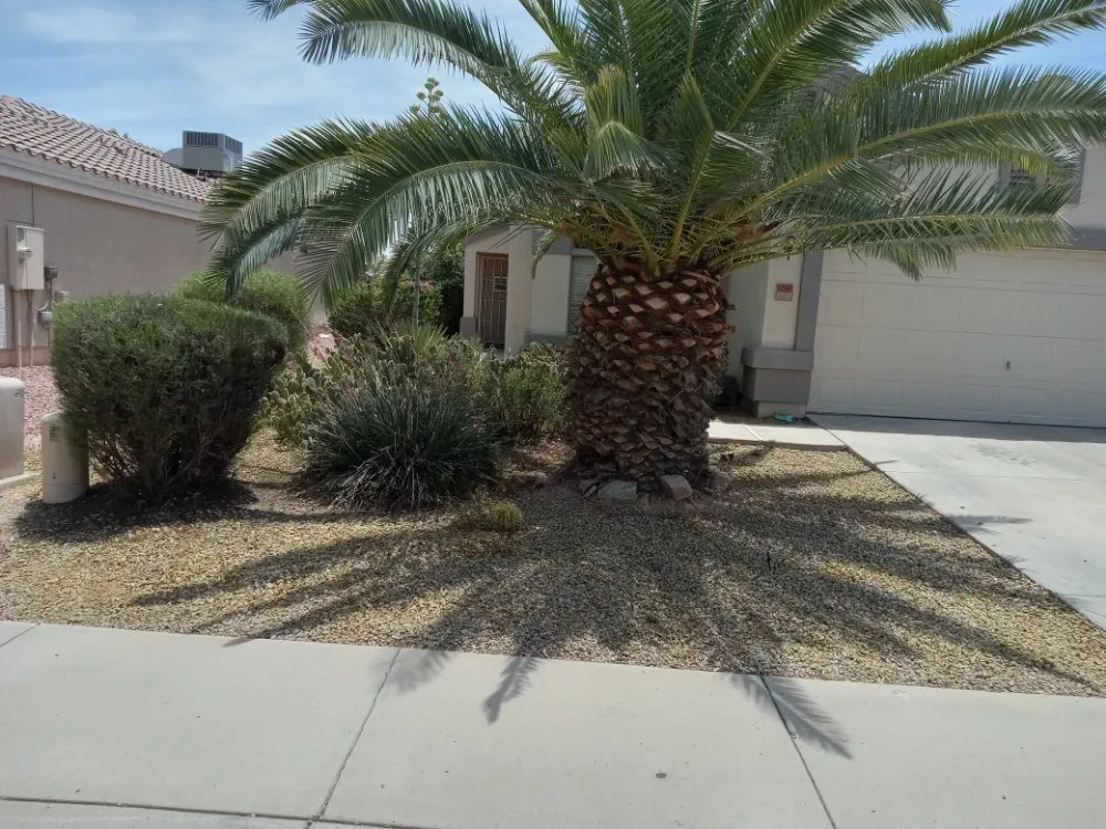 Top-rated yard maintenance for outdoor upgrades in Surprise, AZ by Surprise Landscaping