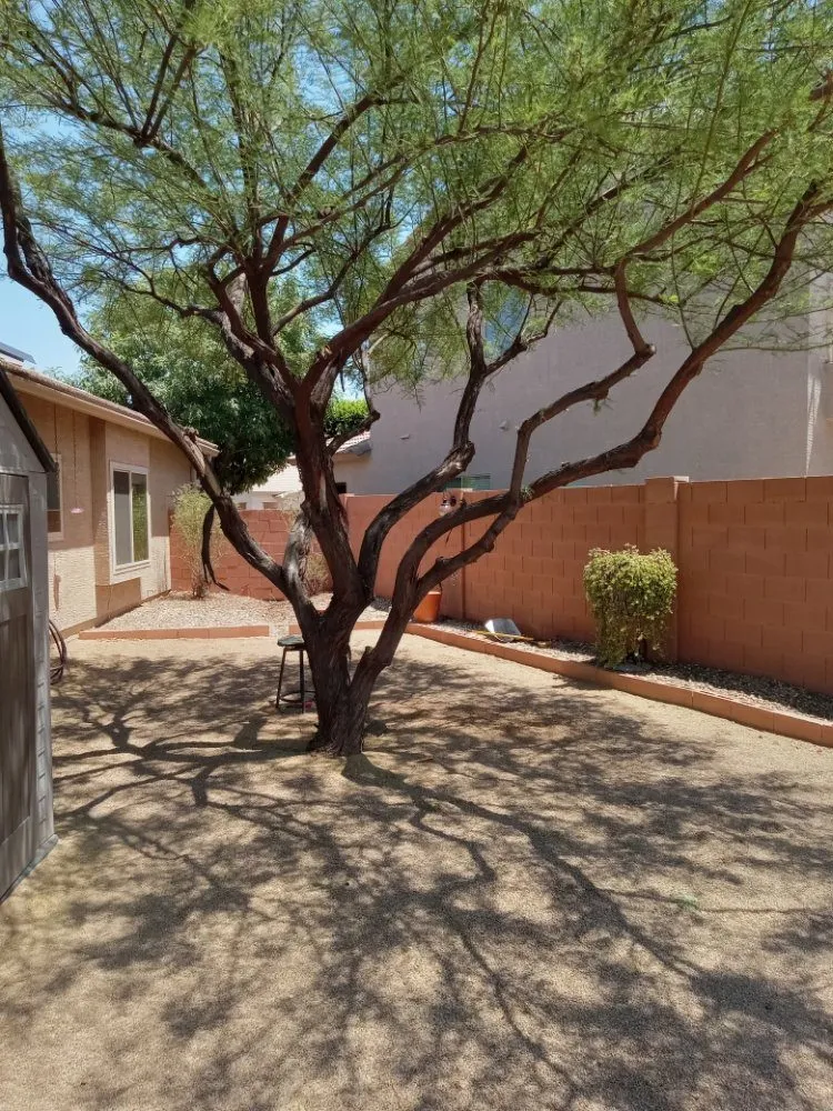 Trusted landscape installation in Surprise, AZ by Surprise Landscaping