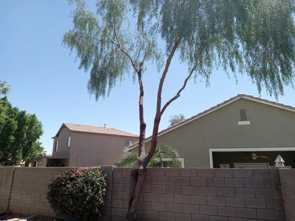 Custom residential landscaping in Surprise, AZ by Surprise Landscaping