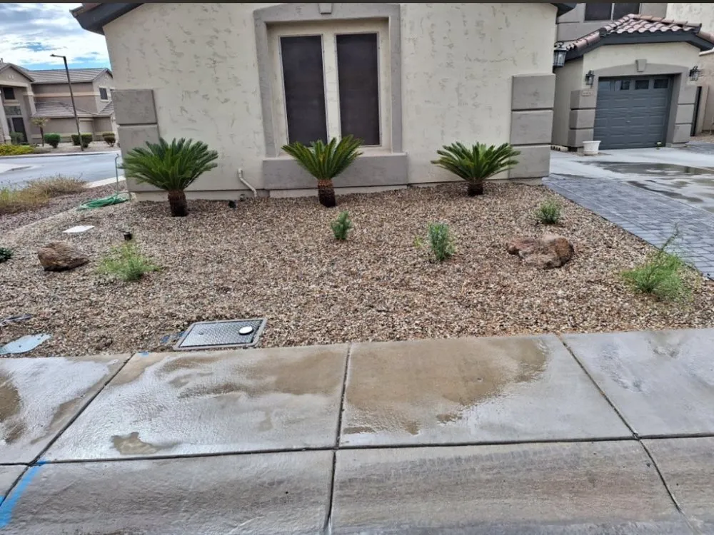 Professional yard maintenance experts serving Surprise, AZ - Surprise Valley Hardscape & Landscaping