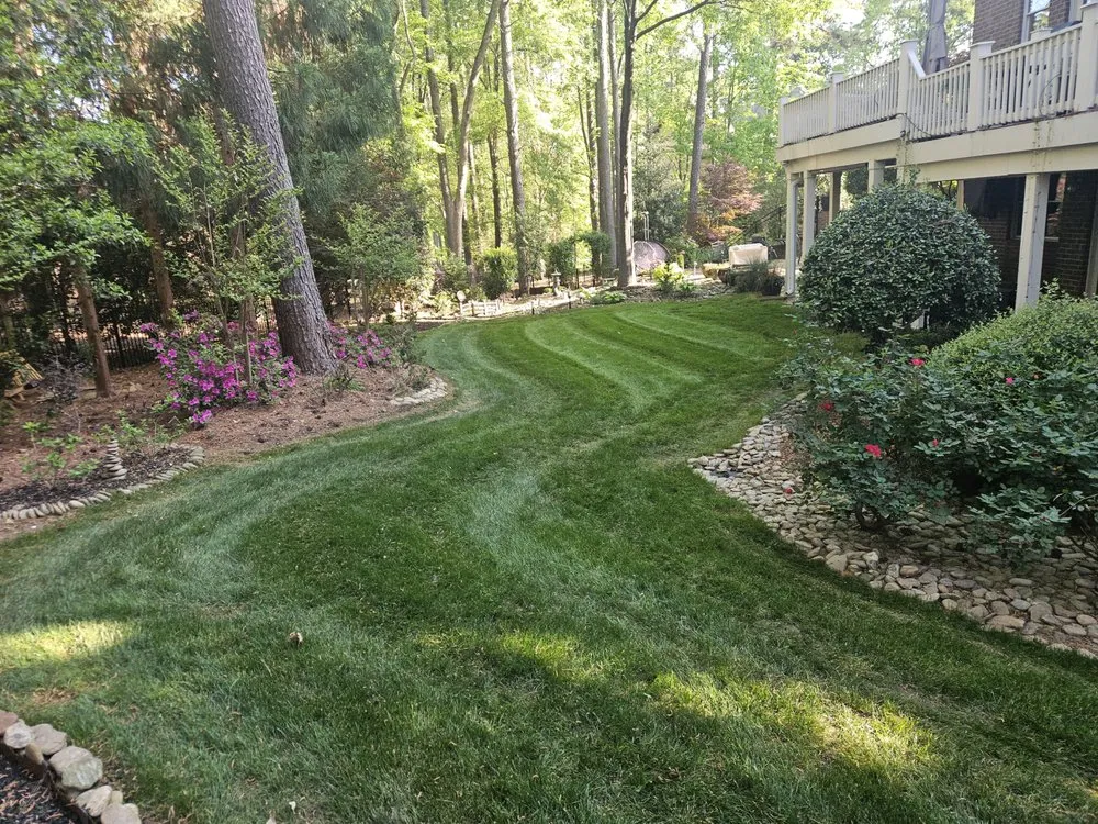 Reliable landscaping services in Gibsonville, NC by Surprisingodyssey