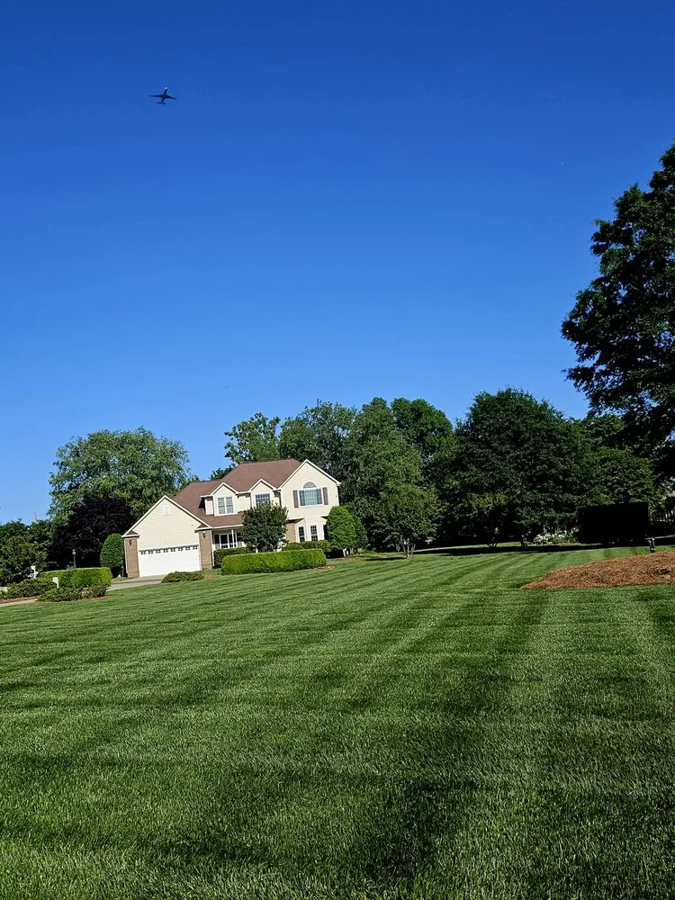 Reliable landscape installation with custom design in Gibsonville, NC by Surprisingodyssey