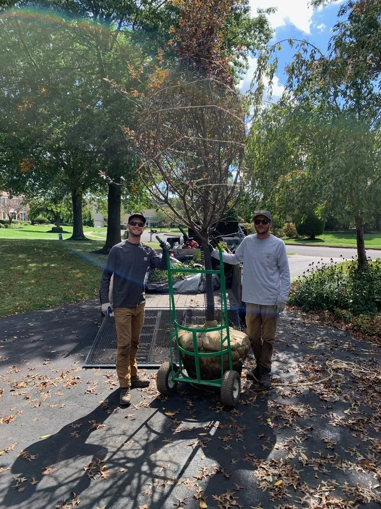 Professional residential landscaping experts serving Dresher, PA - Surreal Landscape