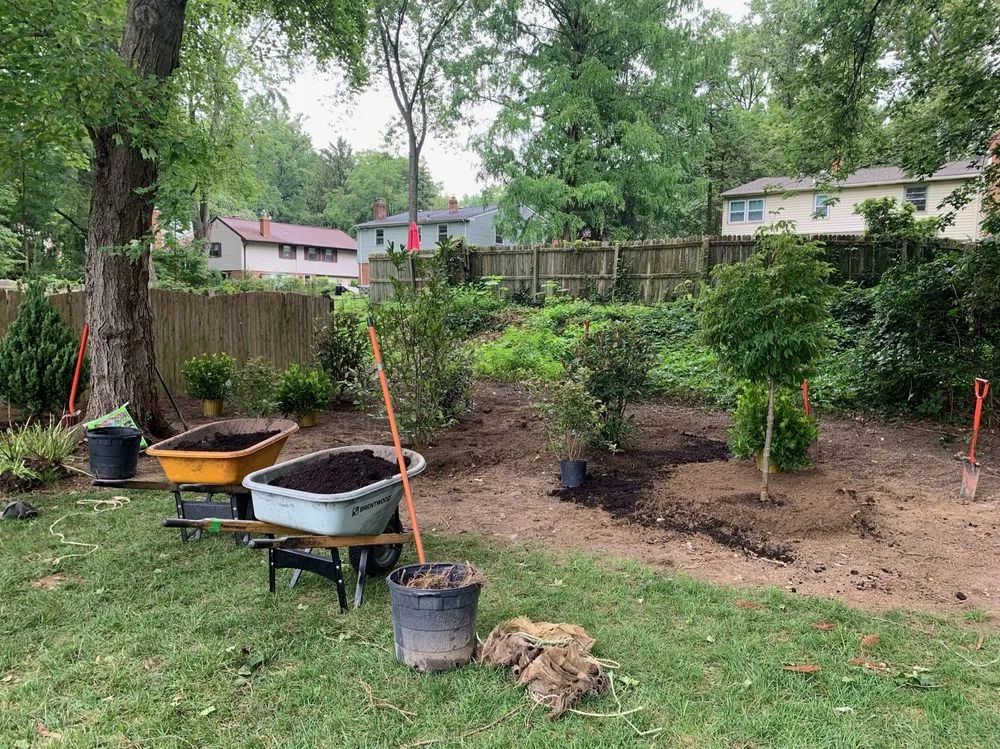 Top-rated yard cleanup service in Dresher, PA by Surreal Landscape