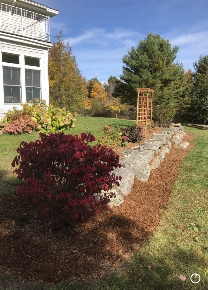 Affordable yard cleanup service for beautiful yards in Surry, ME by Surry Lawn Care