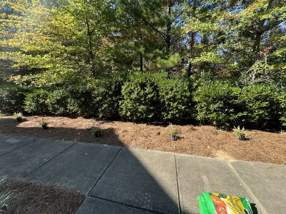 Trusted landscape installation with custom design in Birmingham, AL by Surv