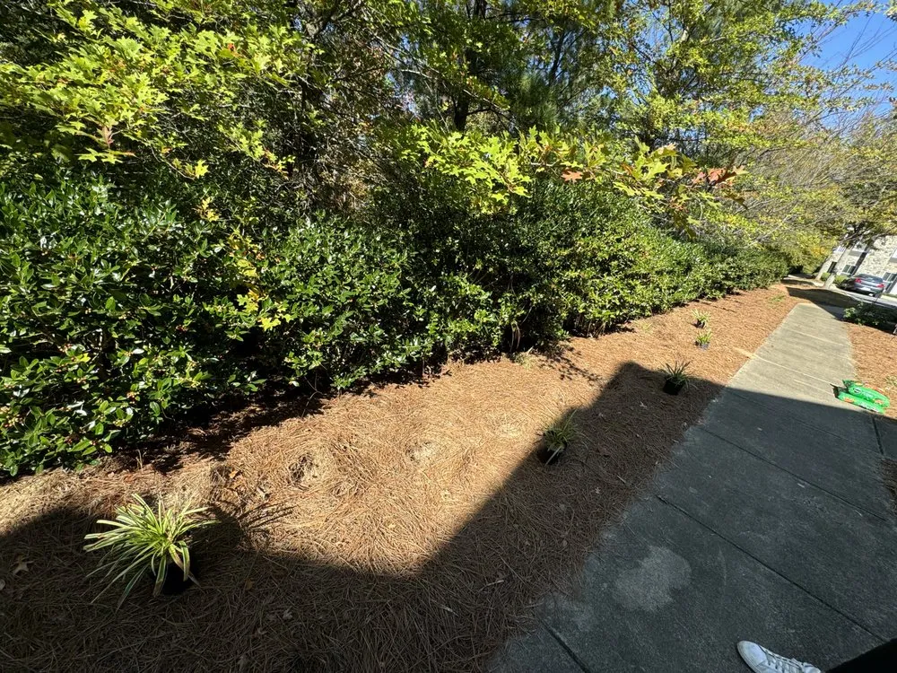 Trusted lawn mowing service for homes across Birmingham, AL - Surv