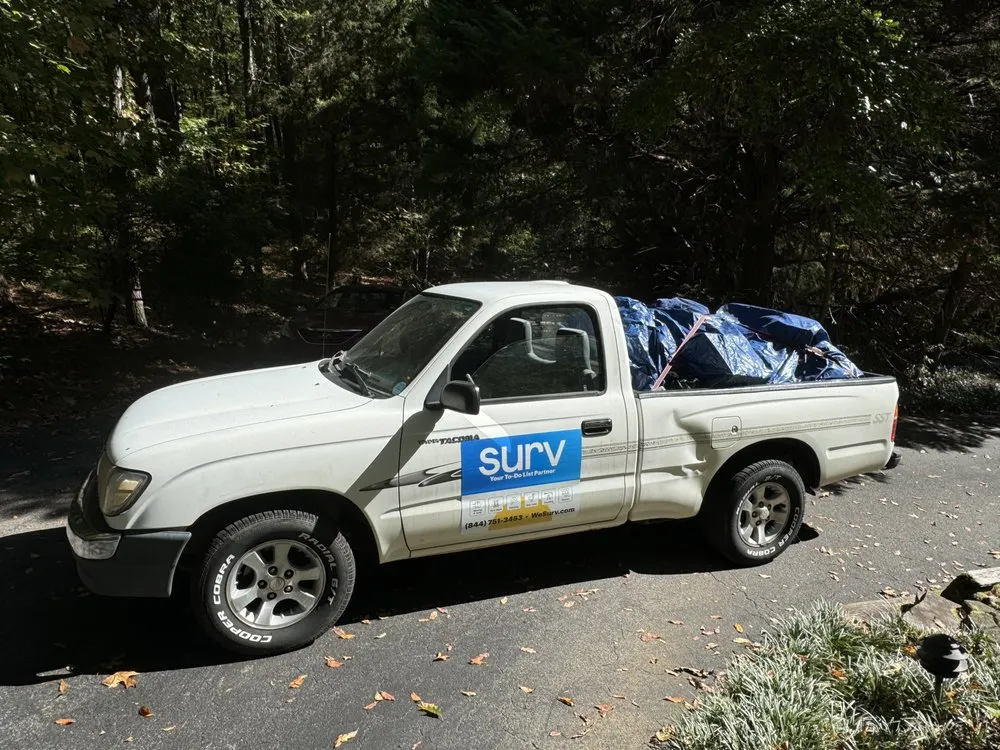 Professional landscaping services experts serving Birmingham, AL - Surv