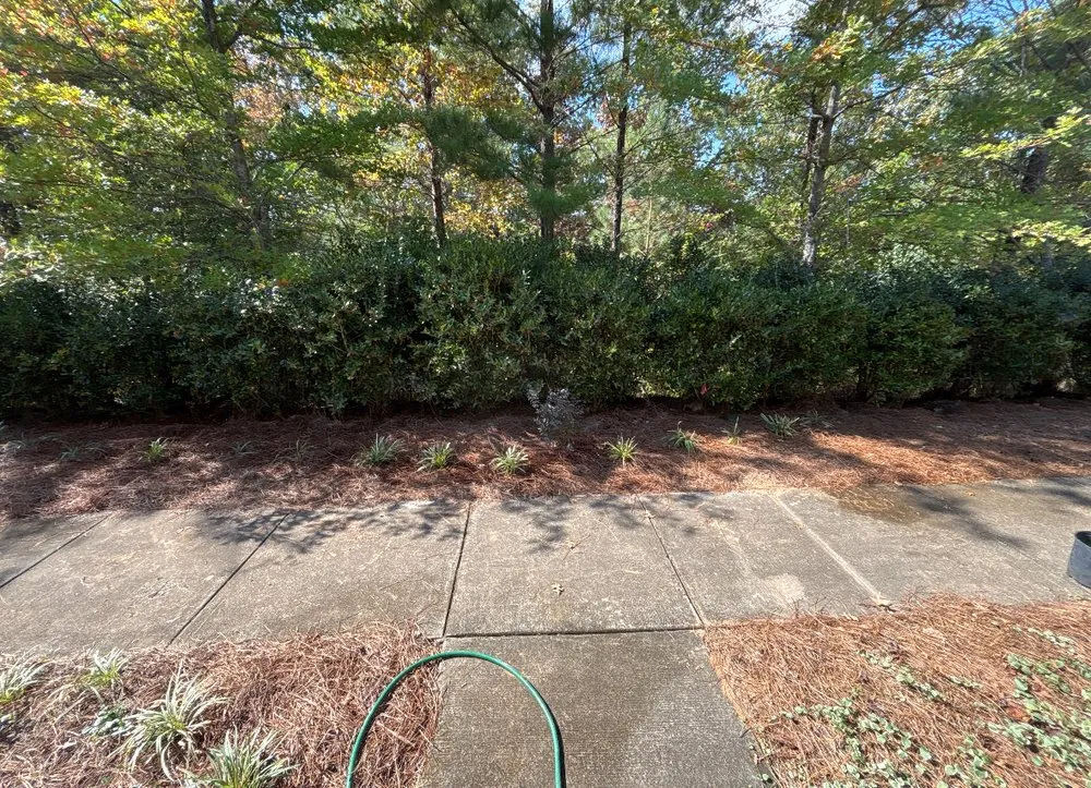 Professional lawn care service experts serving Birmingham, AL - Surv