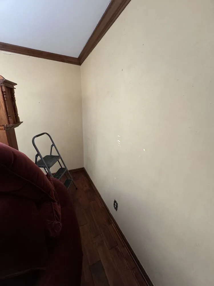 Custom yard cleanup service with custom design in Birmingham, AL by Surv