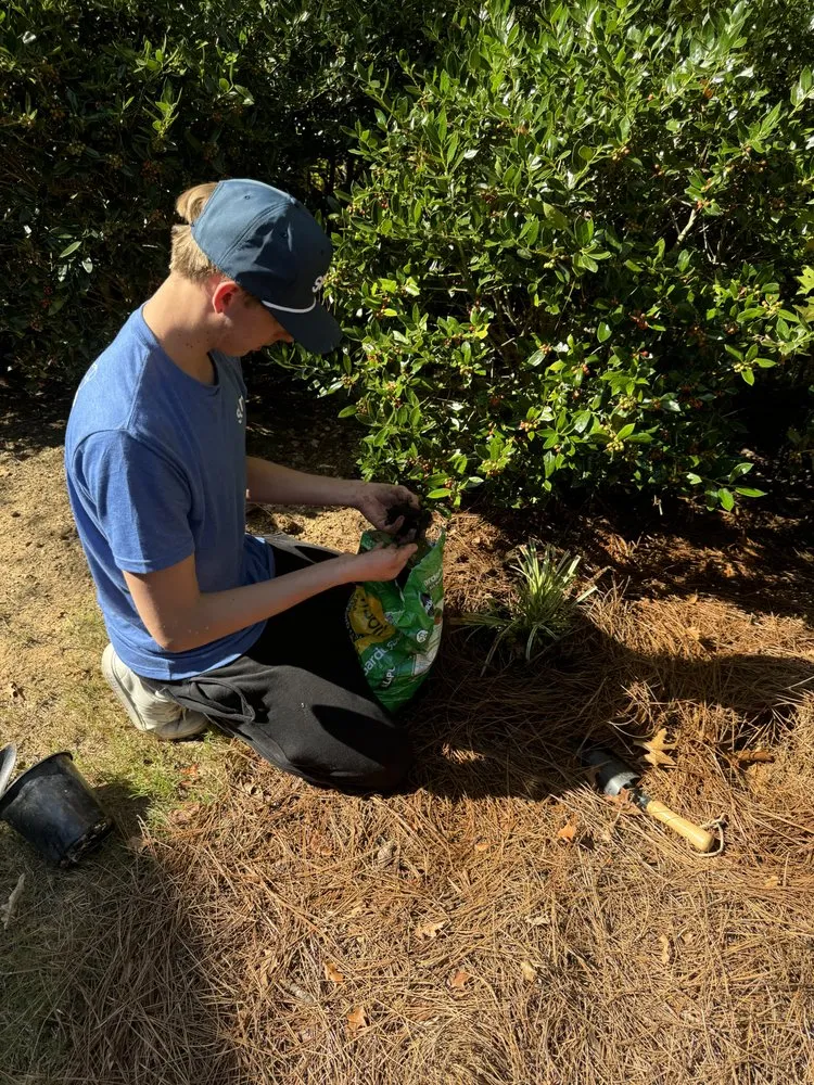 Top-rated garden landscaping in Birmingham, AL - Surv