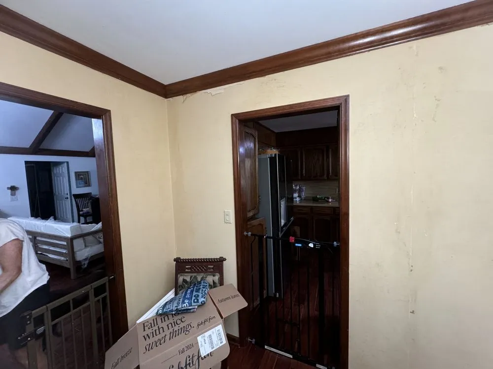 Local landscape design for outdoor upgrades in Birmingham, AL by Surv