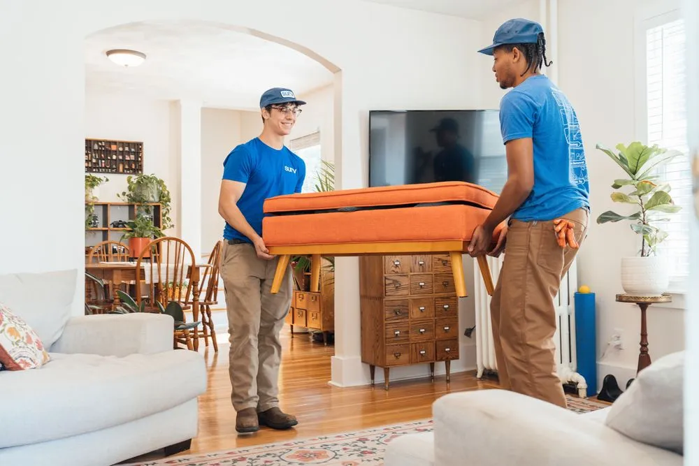 Affordable residential landscaping in Newport, RI - Surv