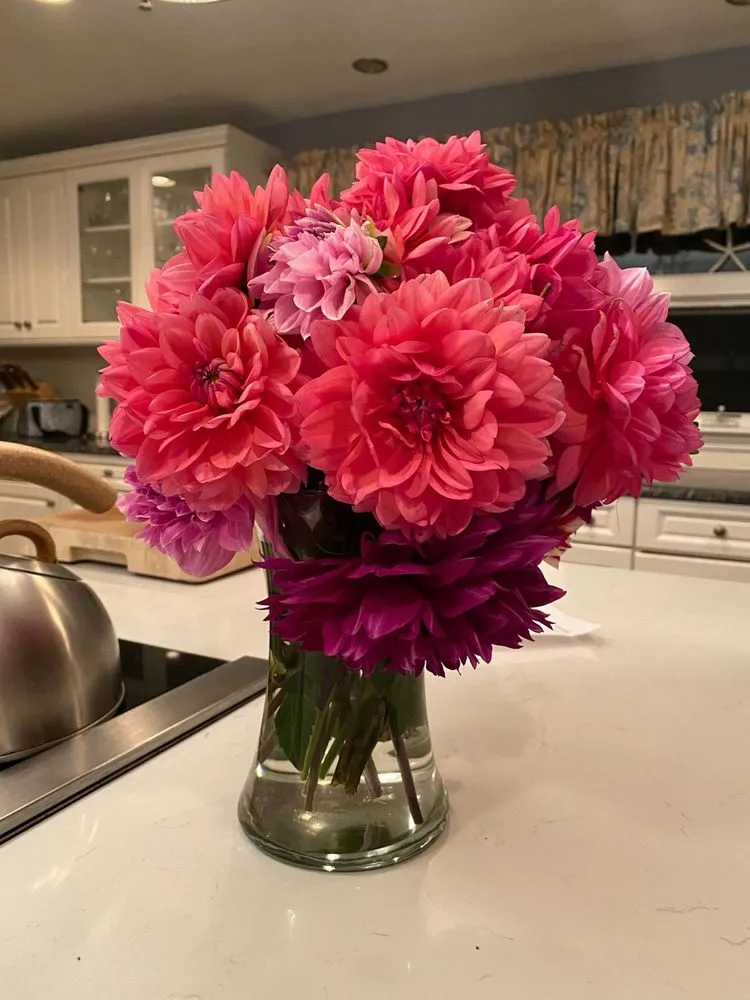 Local garden landscaping for residential properties across Newport, RI - Surv