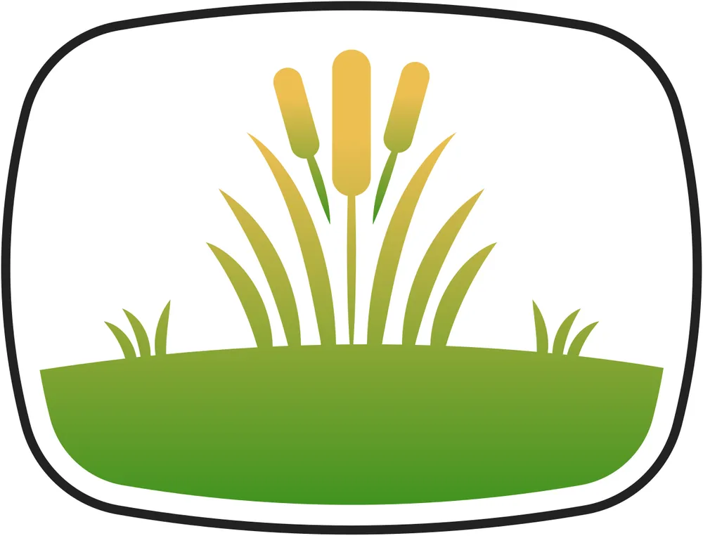 Custom lawn care service for outdoor upgrades in College Station, TX by Survant Landscaping