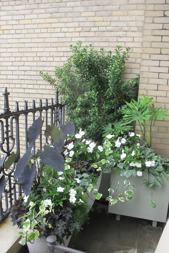 Custom yard cleanup service with custom design in Manhattan, NY by Susan Pollock Designs