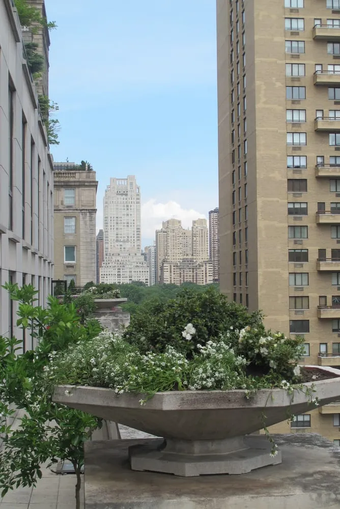 Affordable landscaping services experts serving Manhattan, NY - Susan Pollock Designs