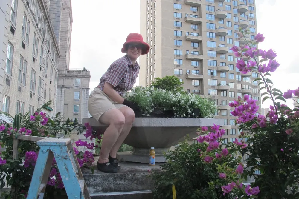 Reliable landscape design for year-round maintenance in Manhattan, NY by Susan Pollock Designs