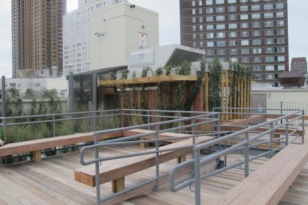 Affordable lawn care service in Manhattan, NY by Susan Pollock Designs