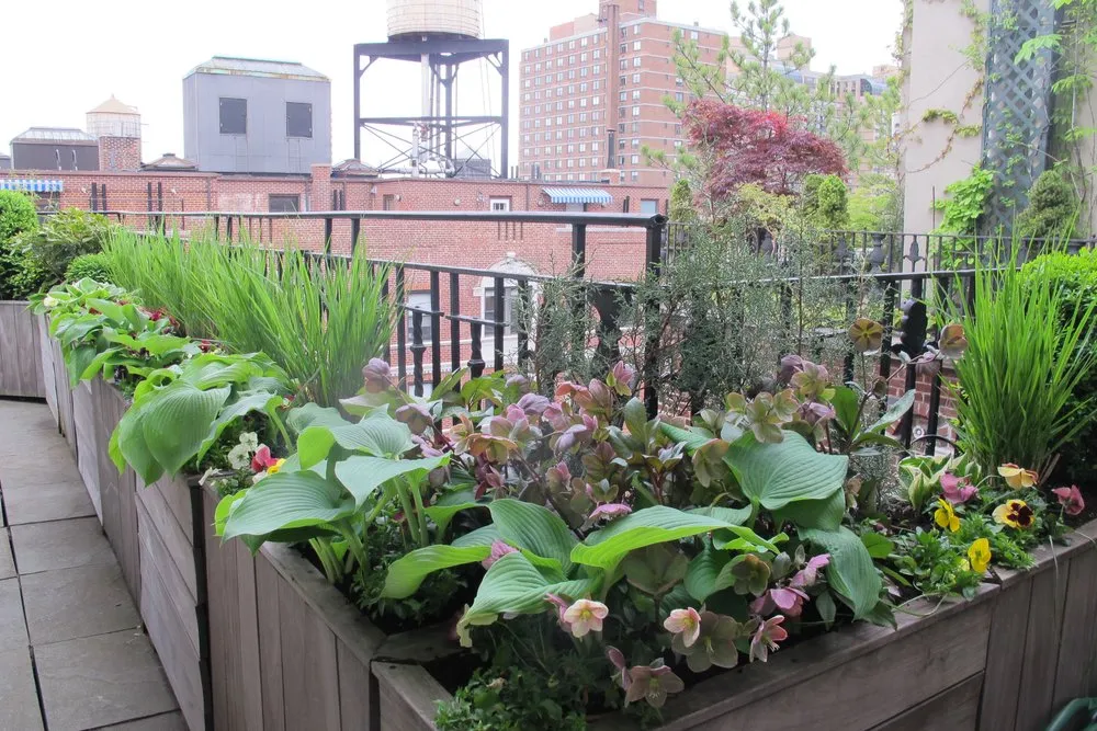 Reliable landscape design in Manhattan, NY by Susan Pollock Designs