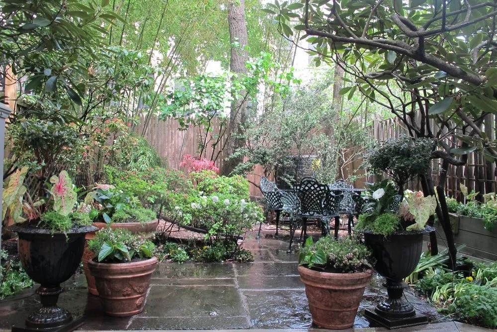 Top-rated lawn mowing service for residential properties across Manhattan, NY - Susan Pollock Designs